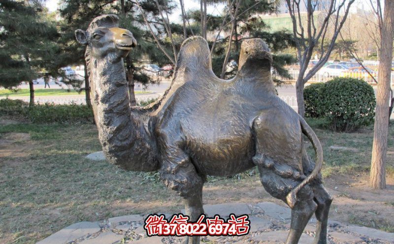 創(chuàng)意大型玻璃鋼駱駝雕塑，在草地上擺放，一眼回頭